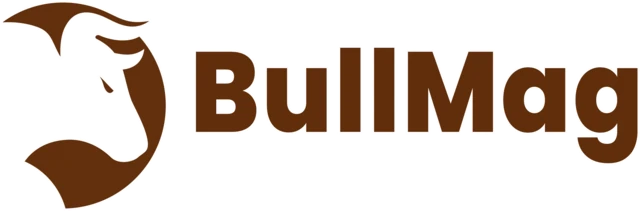 BullMags identity asset