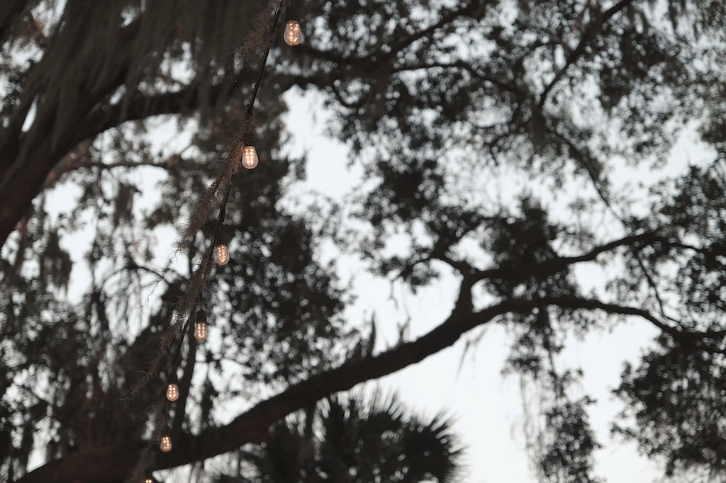 Garden Lights - Photography project by HHB Marketing Augusta GA